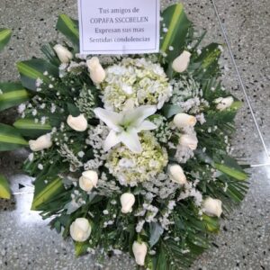 Lagrima Para funeral