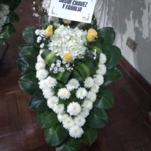 Lagrima Para velorio